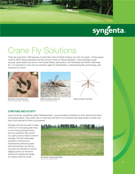 Crane Fly Solutions