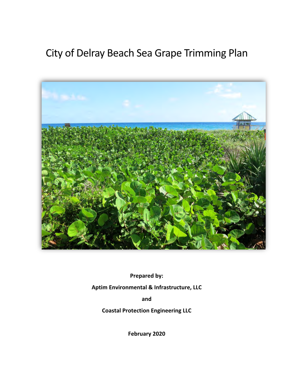 City of Delray Beach Sea Grape Trimming Plan