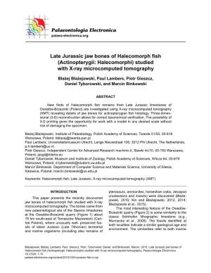 Late Jurassic Jaw Bones of Halecomorph Fish (Actinopterygii: Halecomorphi) Studied with X-Ray Microcomputed Tomography