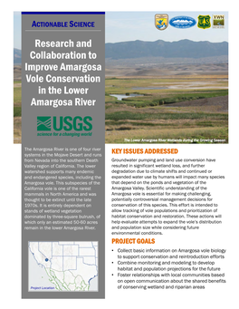 Research and Collaboration to Improve Amargosa Vole Conservation in the Lower Amargosa River