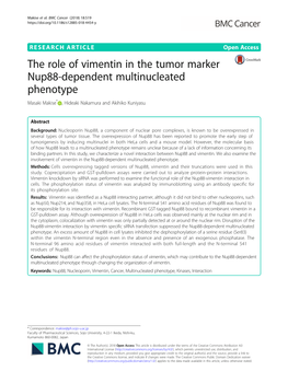The Role of Vimentin in the Tumor Marker Nup88-Dependent Multinucleated Phenotype Masaki Makise* , Hideaki Nakamura and Akihiko Kuniyasu