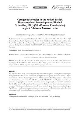 Cytogenetic Studies in the Redtail Catfish, Phractocephalus Hemioliopterus (Bloch Et Schneider, 1801) (Siluriformes, Pimelodidae