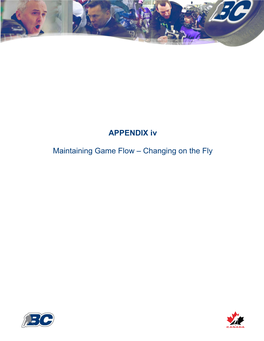 APPENDIX Iv Maintaining Game Flow – Changing on The