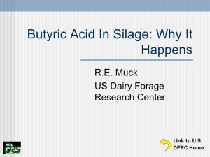 Butyric Acid in Silage: Why It Happens