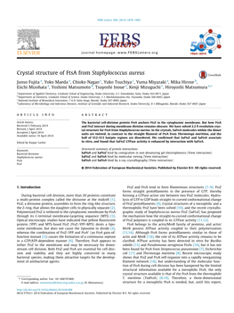 Crystal Structure of Ftsa from Staphylococcus Aureus