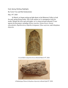 Early Spring Mothing Highlights by Carrie Voss and Mat Seidensticker