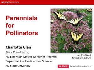 Perennials for Pollinators