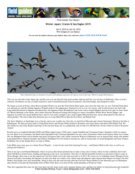 Winter Japan: Cranes & Sea Eagles 2015