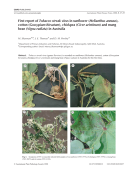 First Report of Tobacco Streak Virus in Sunflower (Helianthus Annuus)