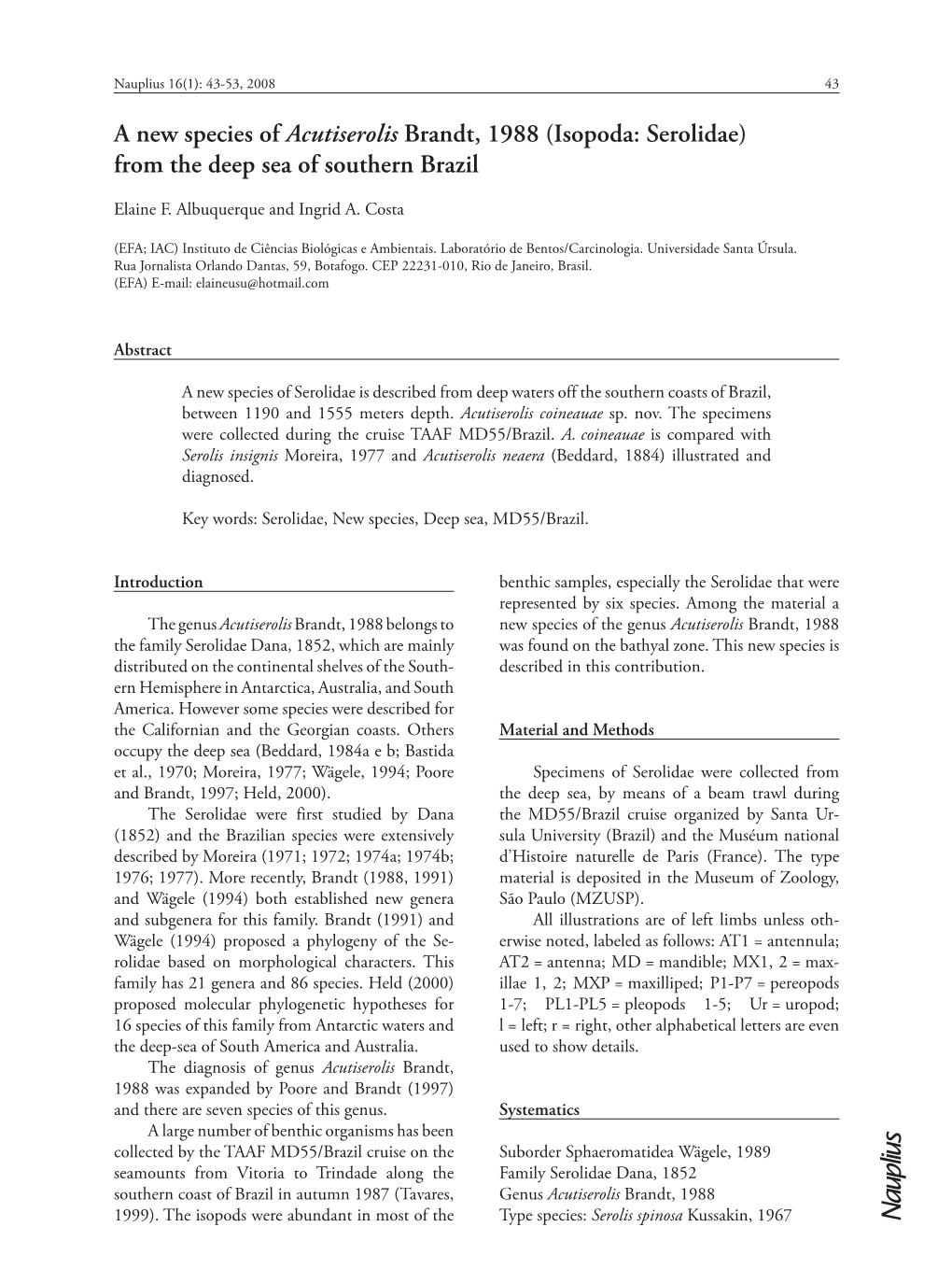 A New Species of Acutiserolis Brandt, 1988 (Isopoda: Serolidae) from the Deep Sea of Southern Brazil