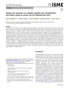 Aerobic and Anaerobic Iron Oxidizers Together Drive Denitrification And