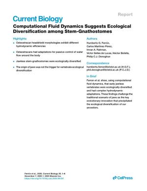 Computational Fluid Dynamics Suggests Ecological Diversification