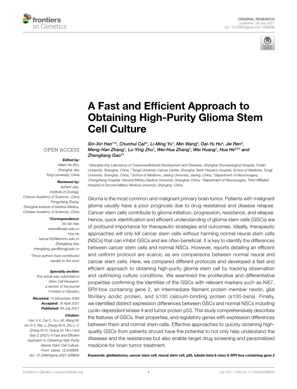 A Fast and Efficient Approach to Obtaining High-Purity Glioma Stem Cell Culture