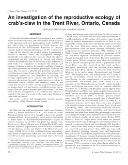 An Investigation of the Reproductive Ecology of Crab's-Claw in the Trent