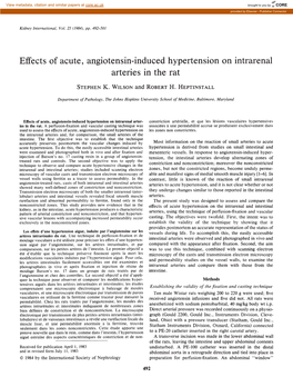 Effects of Acute, Angiotensin-Induced Hypertension on Intrarenal Arteries in the Rat