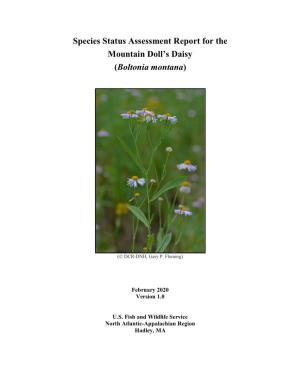 Species Status Assessment Report for the Mountain Doll’S Daisy (Boltonia Montana)