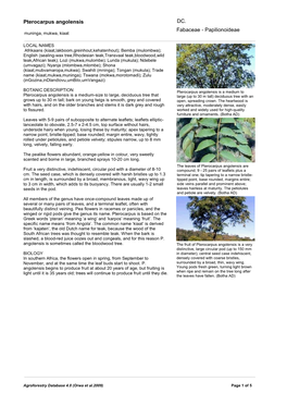 Pterocarpus Angolensis Fabaceae