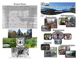 Forest Facts