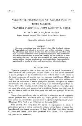 Vegetative Propagation of Radiata Pine by Tissue Culture: Plantlet Formation from Embryonic Tissue