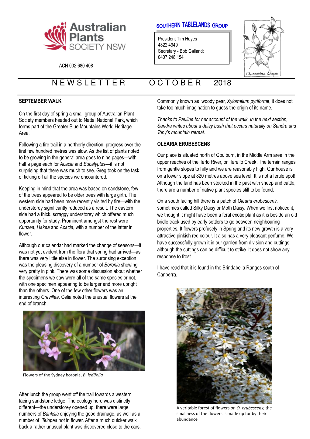 Newsletter October