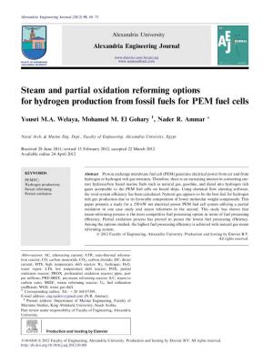 Steam and Partial Oxidation Reforming Options for Hydrogen Production from Fossil Fuels for PEM Fuel Cells