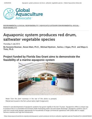 Aquaponic System Produces Red Drum, Saltwater Vegetable Species « Global Aquaculture Advocate