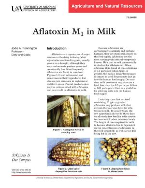 Aflatoxin M1 in Milk