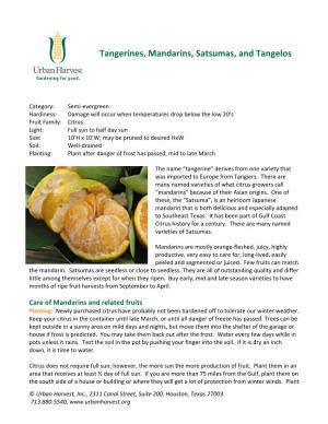 Tangerines, Mandarins, Satsumas, and Tangelos