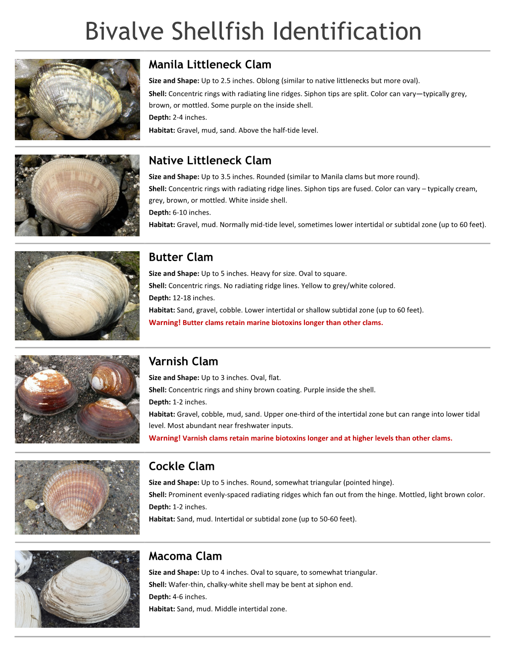 Bivalve Shellfish Identification Handout