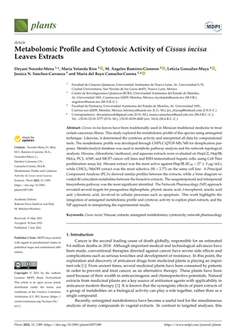 Metabolomic Profile and Cytotoxic Activity of Cissus Incisa Leaves