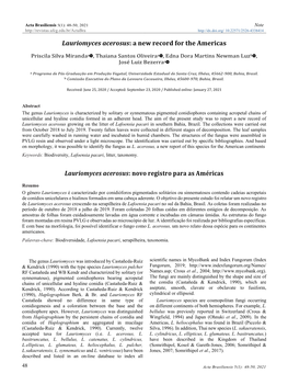 Lauriomyces Acerosus: a New Record for the Americas