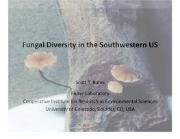 Fungal Diversity in the Southwestern US