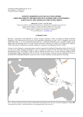 Notopus Dorsipes (Linnaeus) in Singapore: First Record of the Brachyuran Superfamily Raninoidea (Crustacea: Decapoda) on the Sunda Shelf