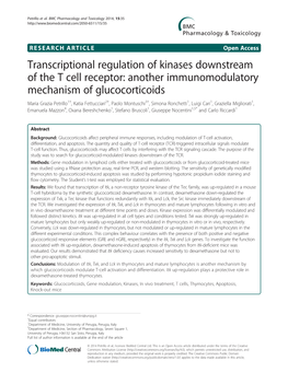 Transcriptional Regulation of Kinases Downstream of the T Cell Receptor