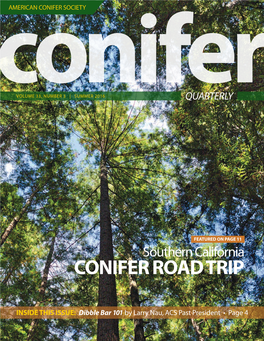 Conifer Road Trip