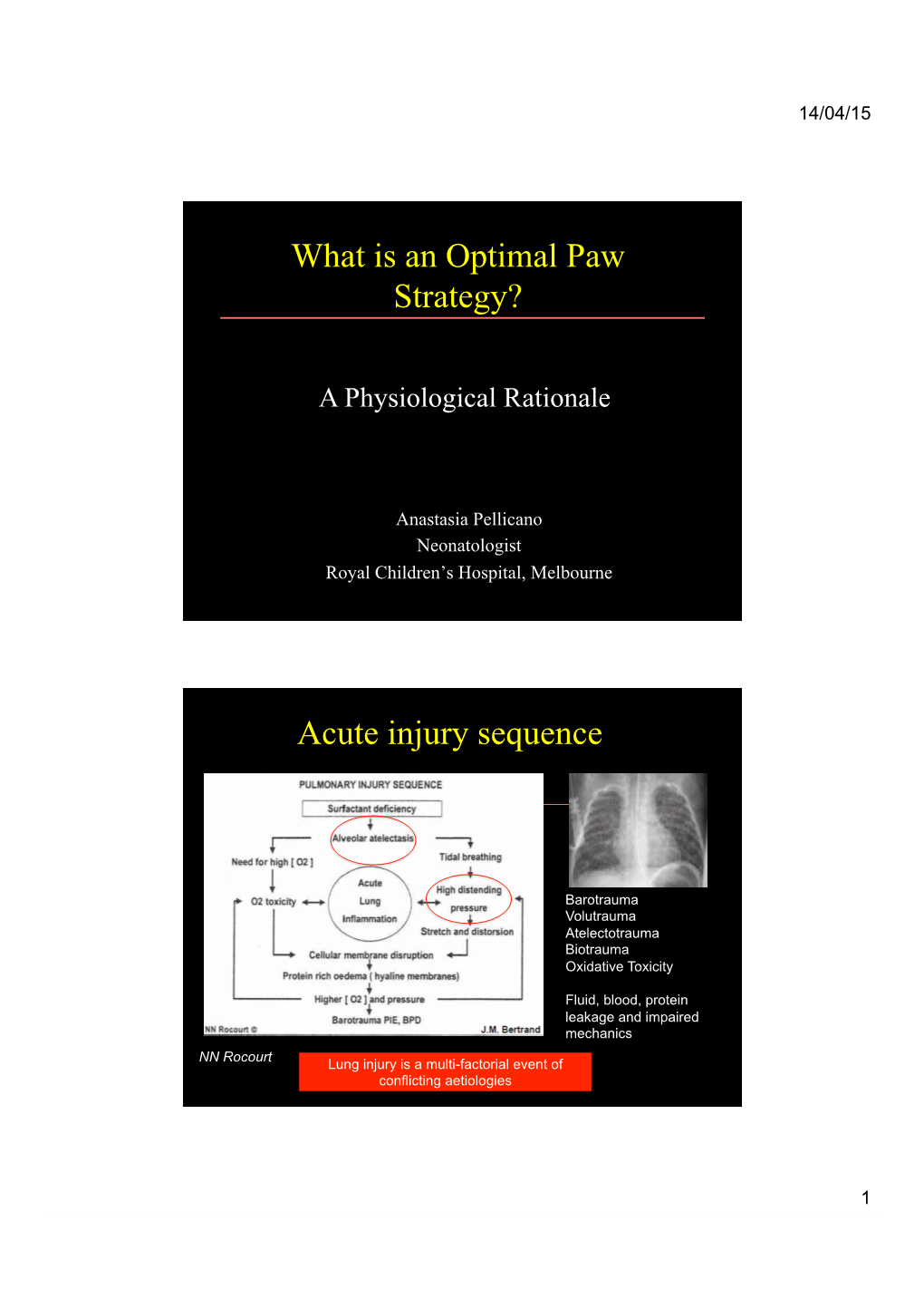 What Is Optimal Paw Strategy 2015 Handout.Pptx