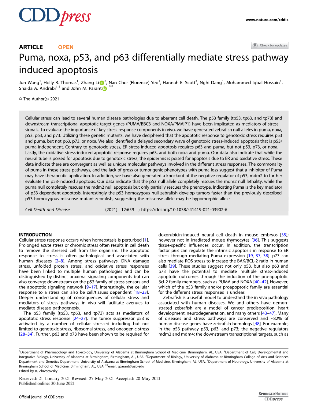 Puma, Noxa, P53, and P63 Differentially Mediate Stress Pathway Induced Apoptosis