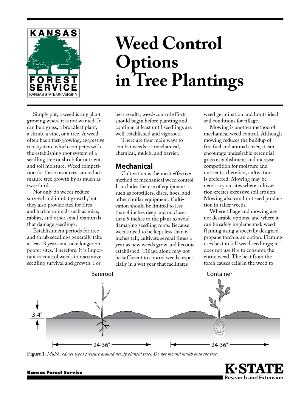 L848 Weed Control Options in Tree Plantings
