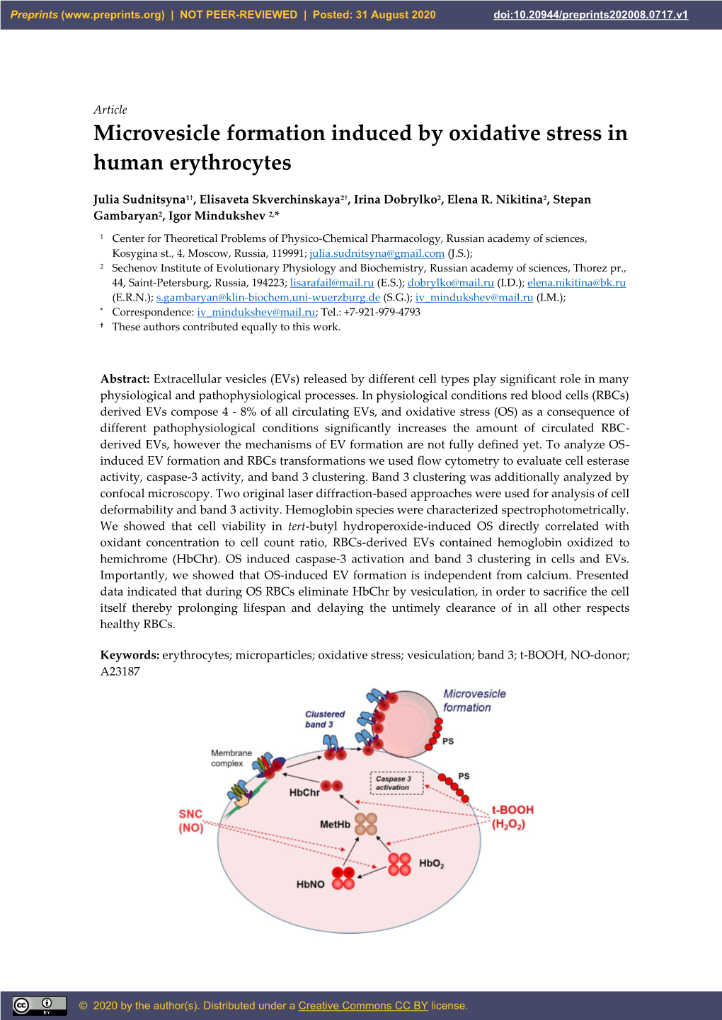 Microvesicle Formation Induced by Oxidative Stress in Human Erythrocytes