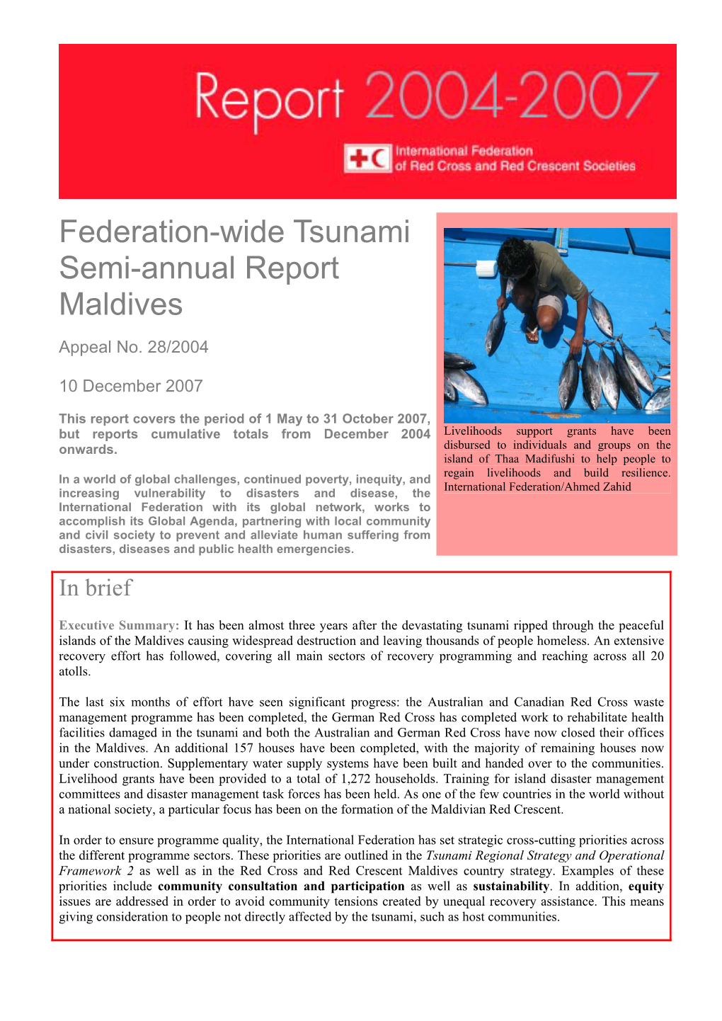 Federation-Wide Semi-Annual Report