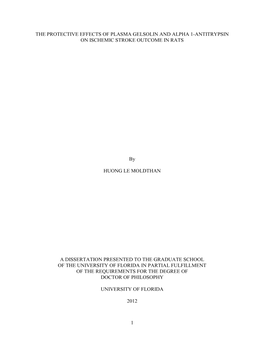 University of Florida Thesis Or Dissertation Formatting