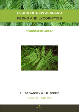Flora of New Zealand Ferns and Lycophytes Dennstaedtiaceae Pj
