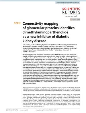 Connectivity Mapping of Glomerular Proteins Identifies