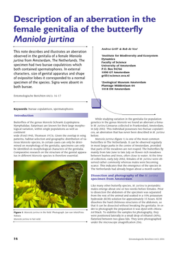 Description of an Aberration in the Female Genitalia of the Butterfly Maniola Jurtina