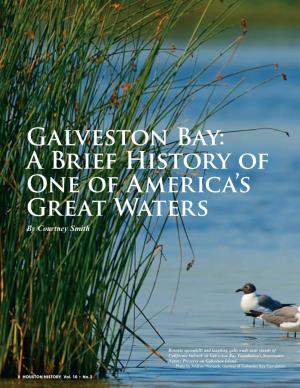 Galveston Bay: a Brief History of One of America's Great Waters