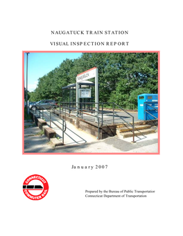 Naugatuck Train Station Visual Inspection Report January 2007