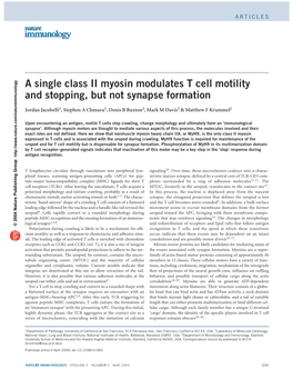 A Single Class II Myosin Modulates T Cell Motility and Stopping, but Not Synapse Formation
