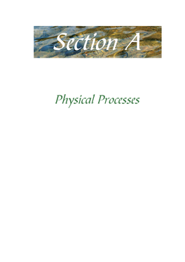 Physical Processes Elsevier US 0Mse01 29-3-2006 2:08P.M