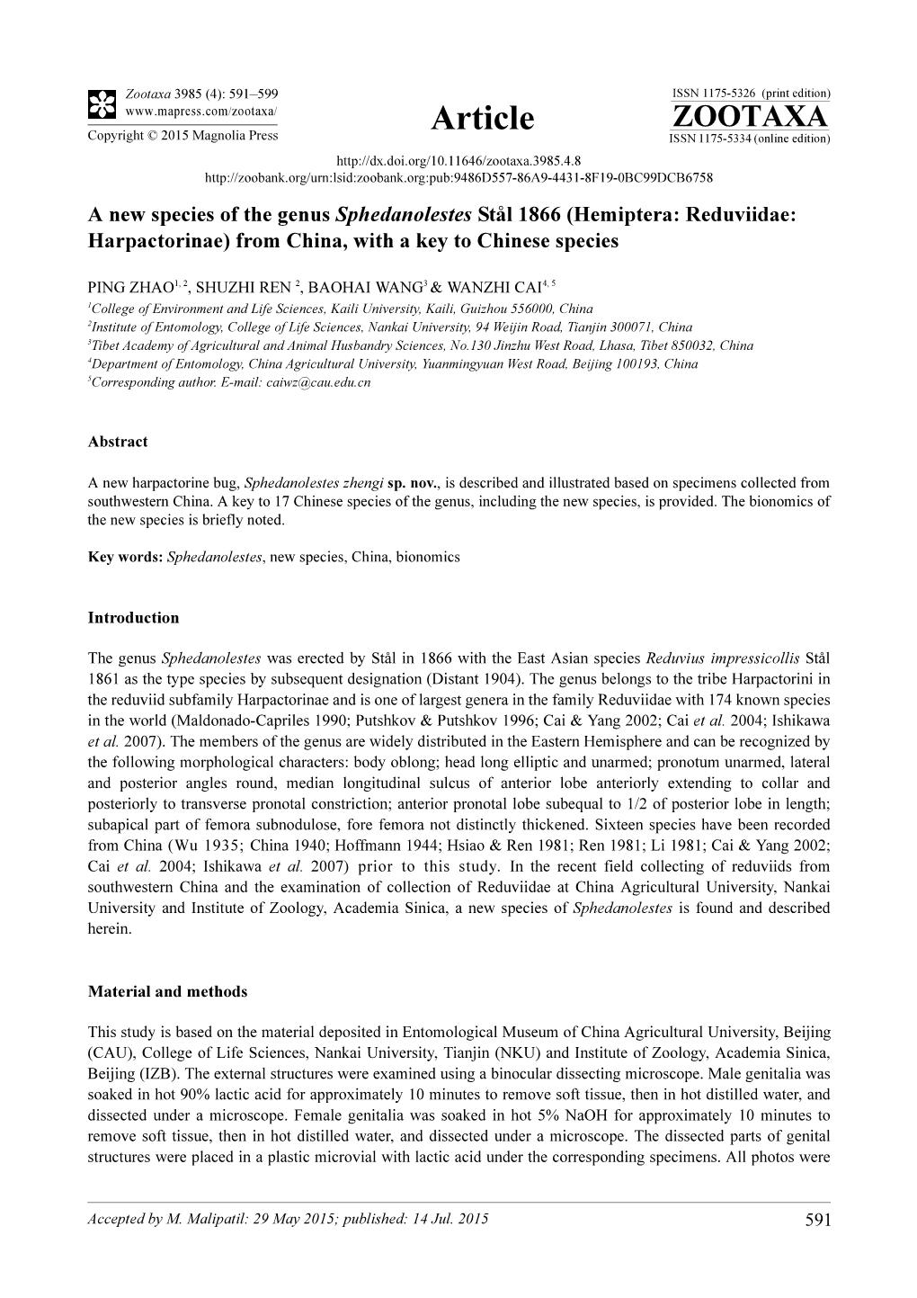 A New Species of the Genus Sphedanolestes Stål 1866 (Hemiptera: Reduviidae: Harpactorinae) from China, with a Key to Chinese Species