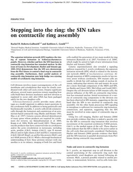 Stepping Into the Ring: the SIN Takes on Contractile Ring Assembly